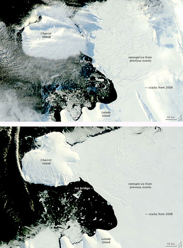 ウィルキンス棚氷、南極半島からの分離の恐れ強まる