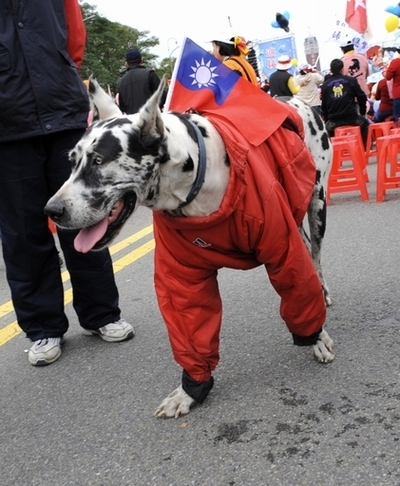イヌ2匹食べた男5人に罰金250万円、台湾