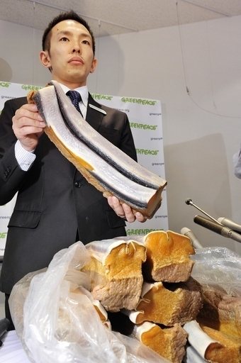鯨肉持ち出しでグリーンピース2人を逮捕