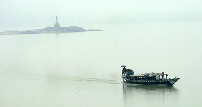 インド北東部の重要河川で大量死魚発生