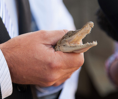 ジョージ英王子の誕生祝い「ワニのジョージ」贈呈、豪準州