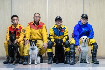 台湾地震で初出動の救助犬がお手柄、行方不明者の捜索に貢献
