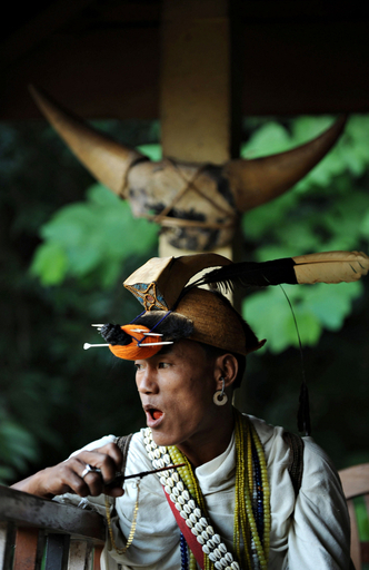 伝統的な帽子の材料になるインド北東部のサイチョウ