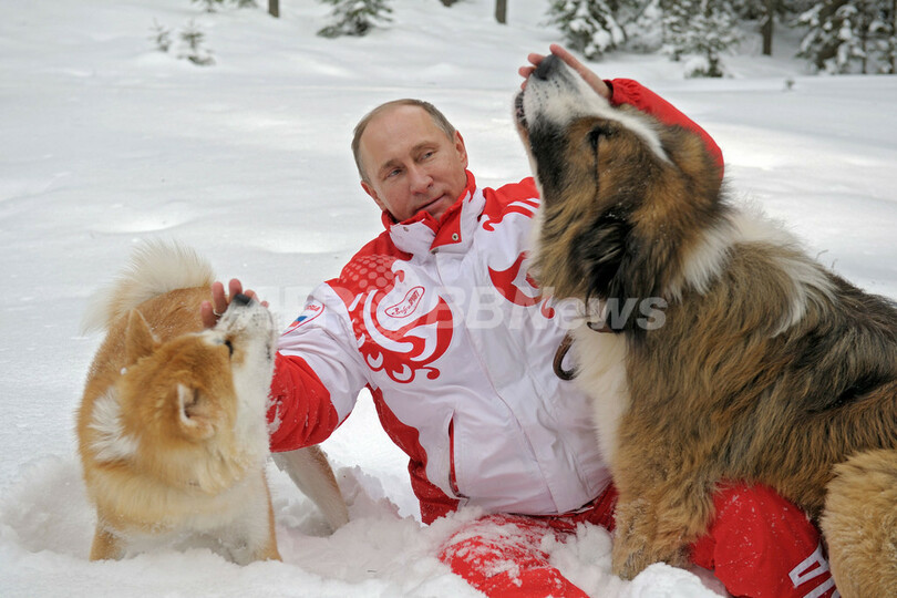 秋田犬「ゆめ」と戯れるプーチン大統領、ロシア
