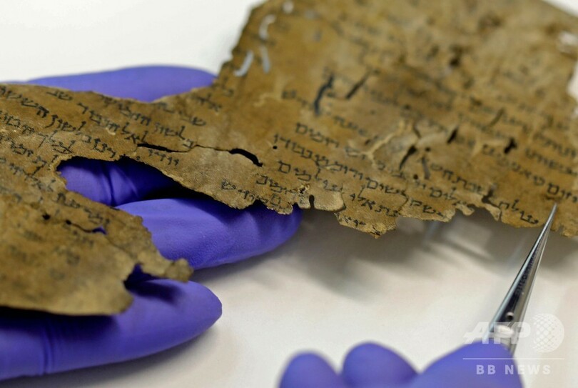 死海文書の由来 「羊皮紙」のDNA調査で謎深まる