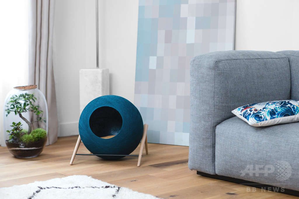 パリ発「MEYOU」日本初上陸、おしゃれなキャットハウス