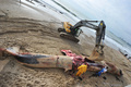 フランス西部レ・サーブル・ドロンヌ（Les Sables d&apos;Olonne）の海岸で25日早朝、全長18メートルのクジラが打ち上げられているのがみつかった。

写真は、浜辺で解体されるクジラと集まった人たち（2013年1月25日撮影）。(c)AFP/FRANK PERRY