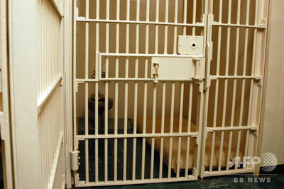看守ら 命救った死刑囚の恩赦を要求 米テネシー州 写真1枚 国際ニュース afpbb news