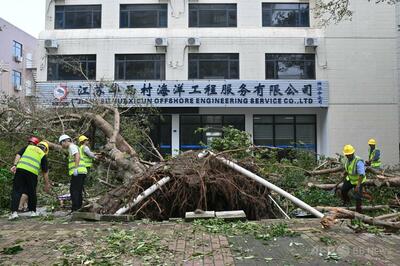 台風18号、中国・広東省で倒木や建物に被害 死傷者は未報告