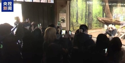 日本に貸与中のパンダが間もなく帰国 別れを惜しむファンが行列