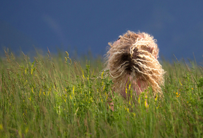 輝くたてがみのライオン？いえ。官能的な女学生の金髪です スロバキア