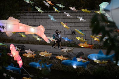 夜空を泳ぐ魚のちょうちん、「ソウル・ランタンフェスティバル」