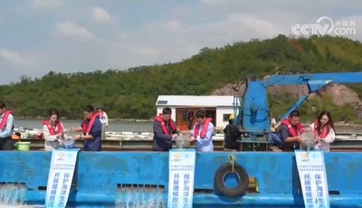 中国の舟山沖 標識付き稚魚16万8000匹を放流 水産資源の増殖を促進