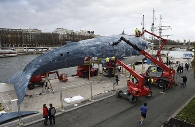 パリ・セーヌ川のほとりに巨大クジラ像、COP21前に