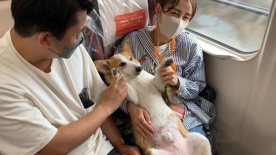 動画：愛犬と一緒に新幹線旅行 ペット専用貸し切り車両で実証実験