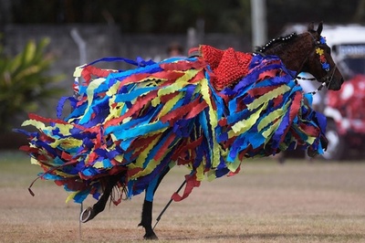 中世の騎馬戦を再現「カバリャーダ」 ブラジル