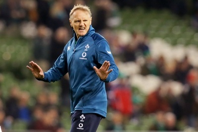 歴史つくったアイルランド指揮官、来年のラグビーW杯後に退任