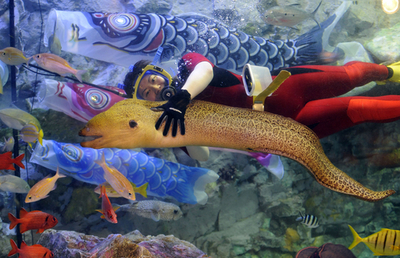 水族館でもこどもの日、こいのぼりやかぶとがお目見え