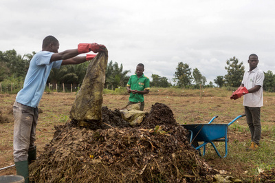 家庭の生ごみがバイオガスとお金に、ベナン