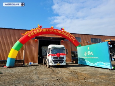 RCEPと連動 中国最大産地のパイナップルをシンガポールへ初輸出