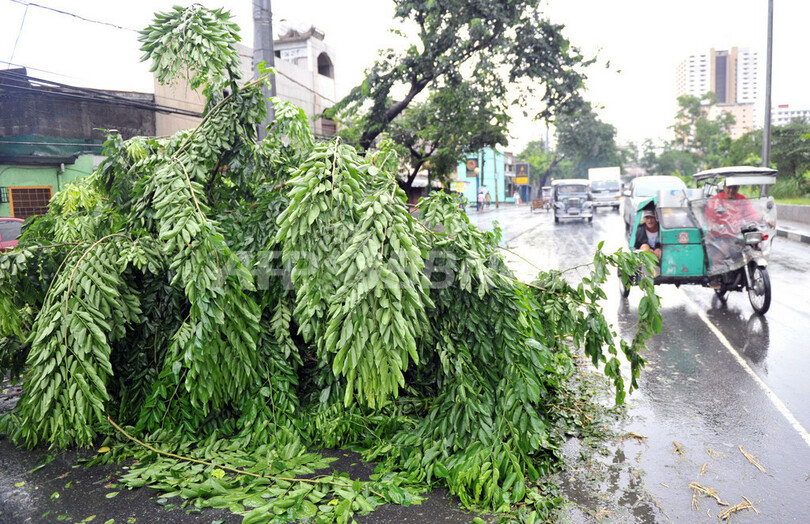 台風「コンソン」がマニラで猛威ふるう、死者20人