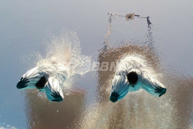 水中カメラがとらえた世界水泳・飛び込み競技