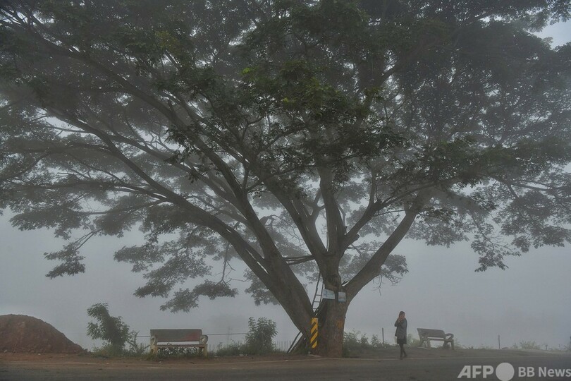 祝祭控えるインド、大気汚染悪化都市で花火禁止 コロナ拡大懸念