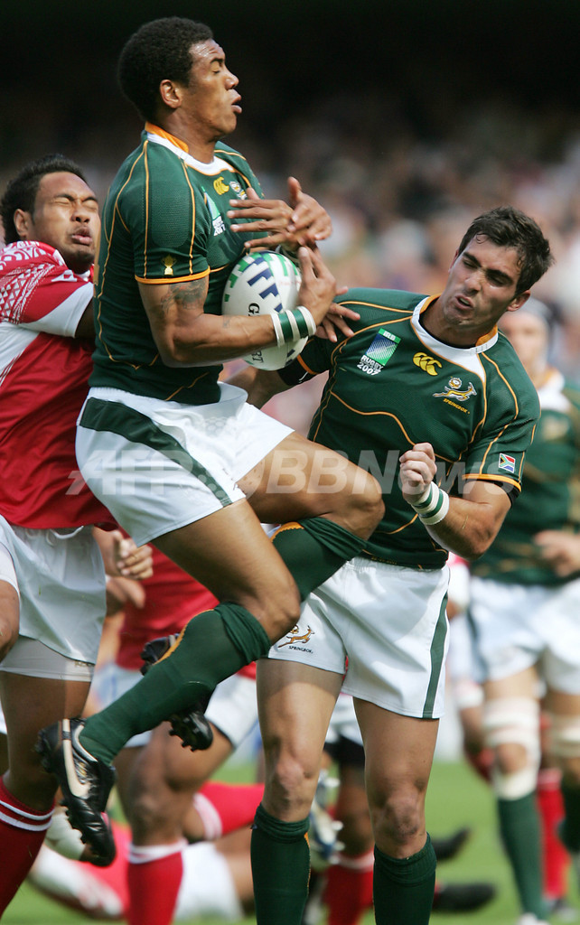 スプリングボクス トンガを降し準々決勝を決める