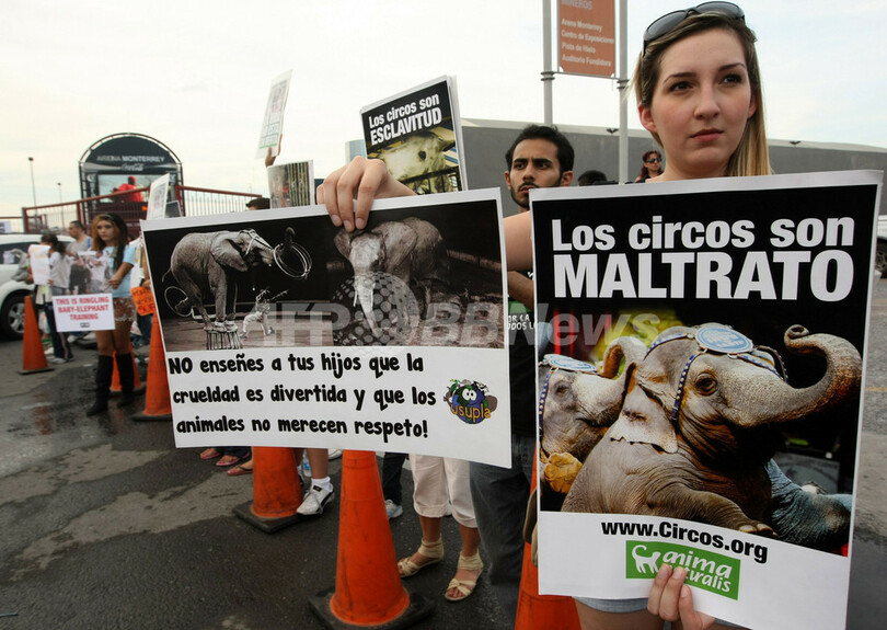 米サーカス団公演に動物愛護団体が抗議 メキシコ