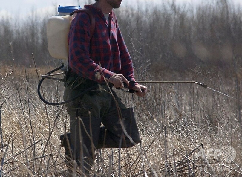 害虫駆除で致死量の化学物質散布、乳児含む3人死亡 ルーマニア