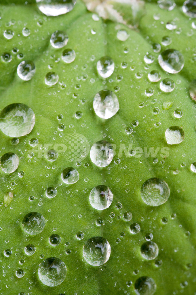 ドイツはもう夏の陽気