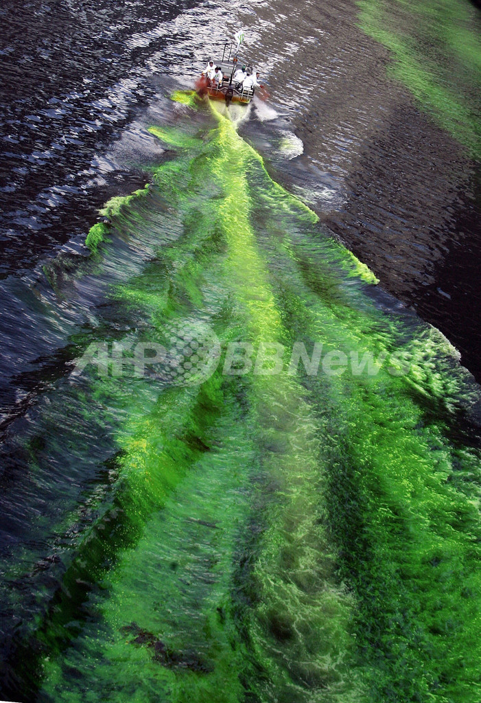 聖パトリックデーで緑に染まる川 - 米国