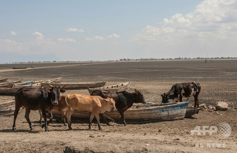 むき出しになった湖底、気候変動で深刻化する干ばつ マラウイ