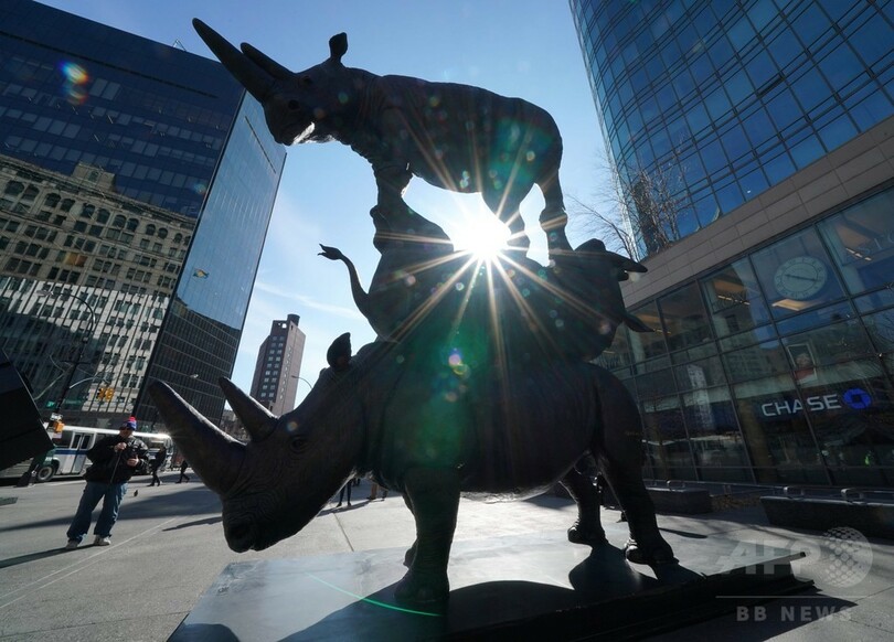 キタシロサイを救え！ 密猟撲滅訴える彫刻「最後の3頭」がNYに