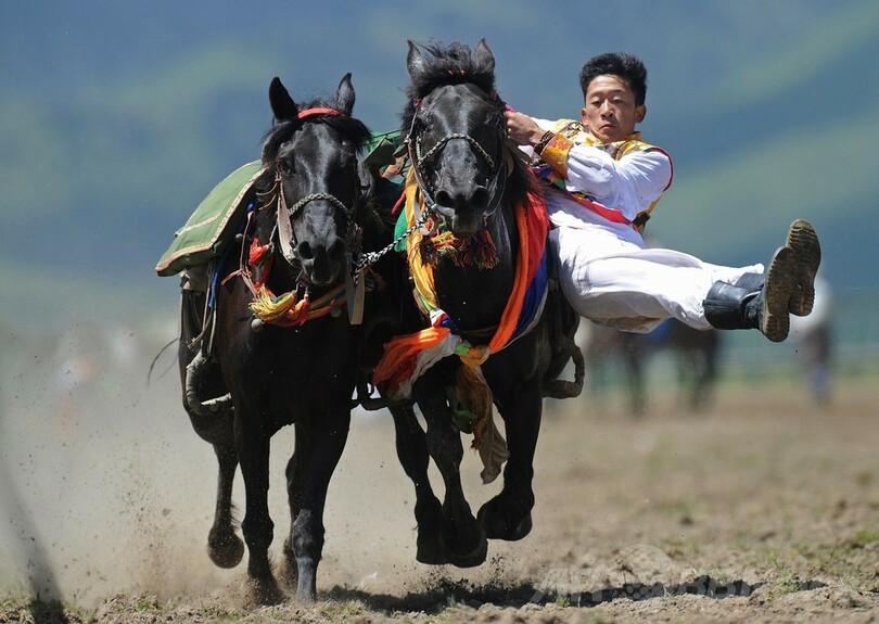 夏の晴れ舞台、少数民族伝統の馬術大会　中国・四川省