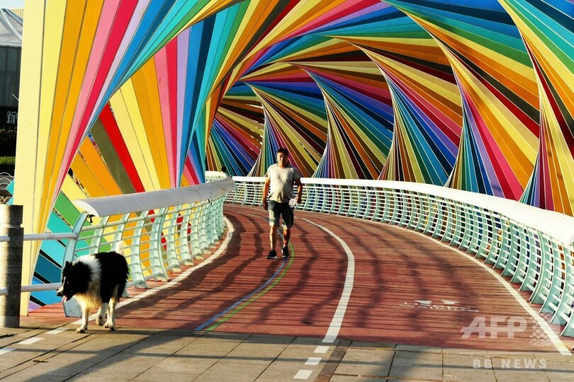 くぐって行こう…海岸のレインボーブリッジ 中国・青島