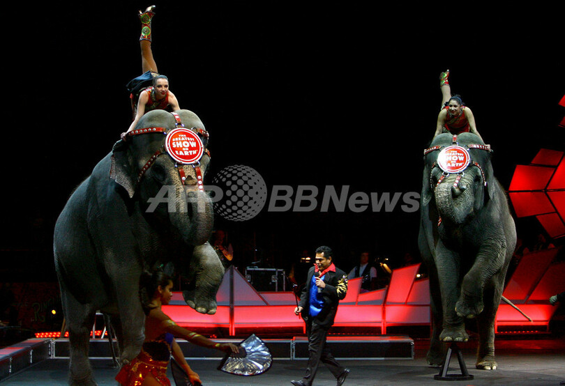 サーカスの公演にイーサン・ホークが訪れる - 米国