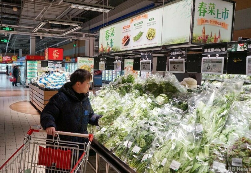 漢方薬「板藍根」が野菜に?中国で広がる「春を食す」ブーム