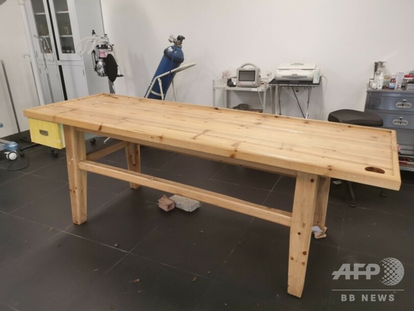 38歳の高齢ジャイアントパンダの暮らし