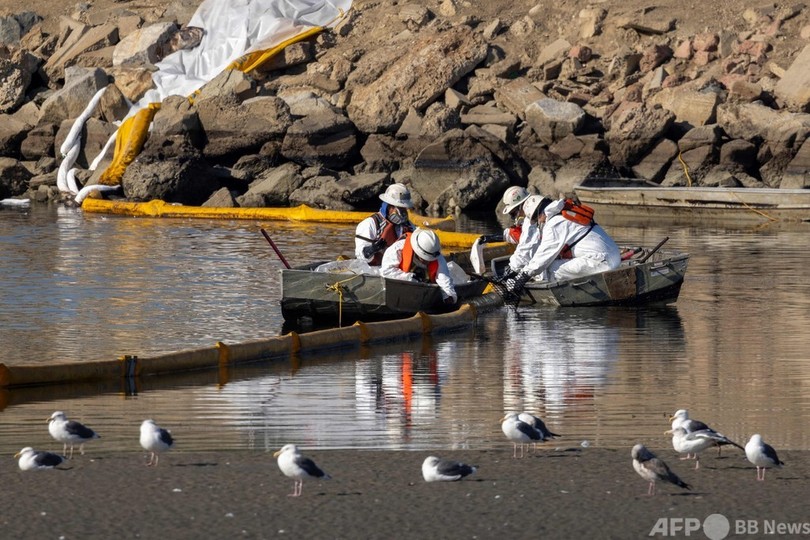 米カリフォルニア州沖で原油流出 生態系に影響