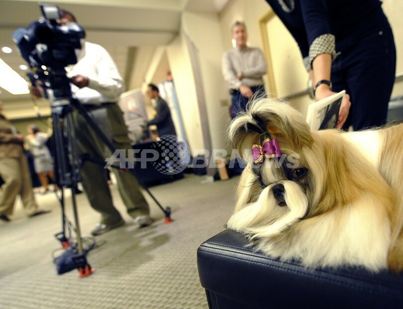 血統犬160品種とネコ40種が一堂に
