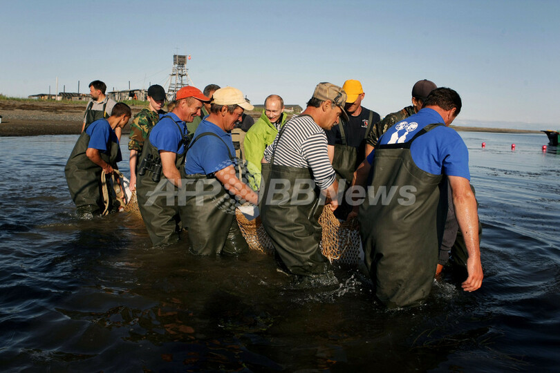 プーチン露首相、シロイルカとくつろぐ