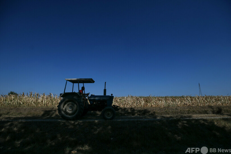 干ばつでトウモロコシ畑の7割がだめに、牧草地は全滅 イタリアのある農家