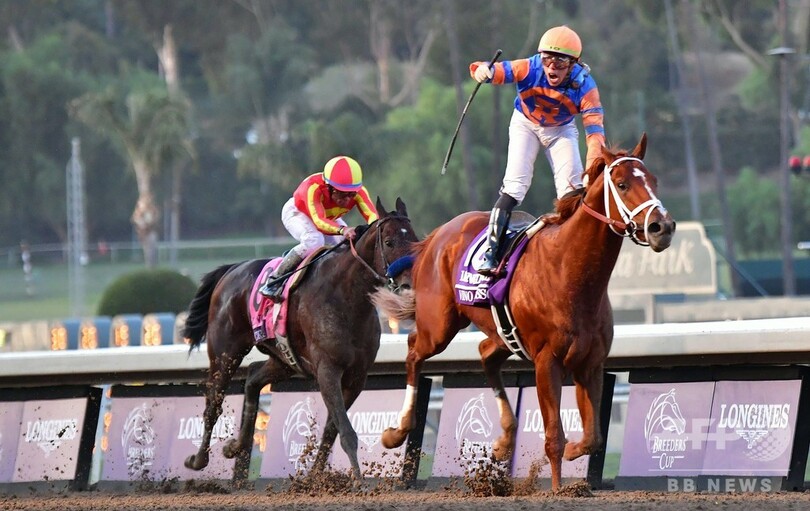 ブリーダーズカップで予後不良、事故多発の競馬場でまた悲劇