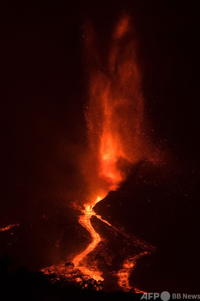 カナリア諸島の火山噴火、猫と一緒に船で避難生活