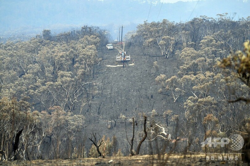 豪NSW州、森林火災で7日間の非常事態宣言 今季2度目