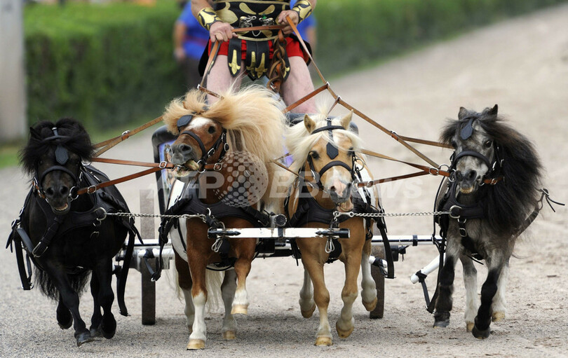気分は古代ローマ、ベルリンで「剣闘士」の馬車レース