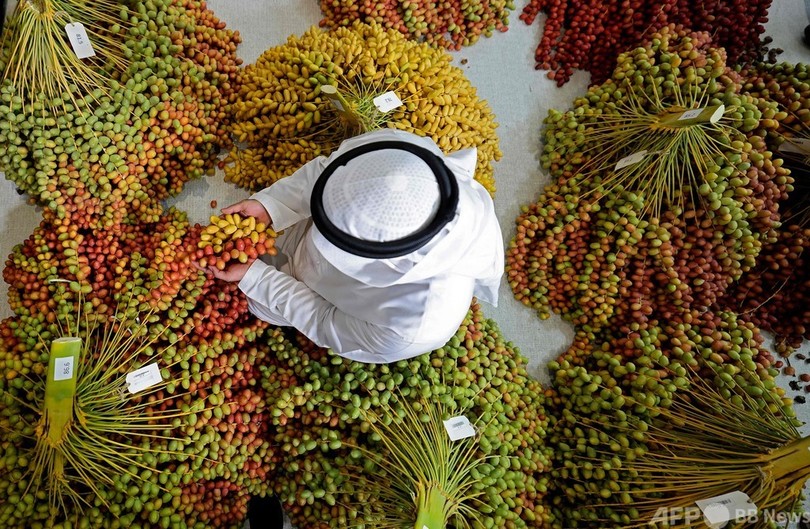 アブダビでナツメヤシのフェスティバル、UAE