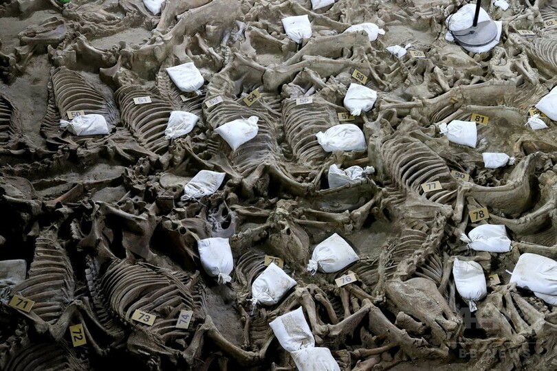副葬の馬が整然と… 中国・河南省で2400年以上前の「車馬坑」発見