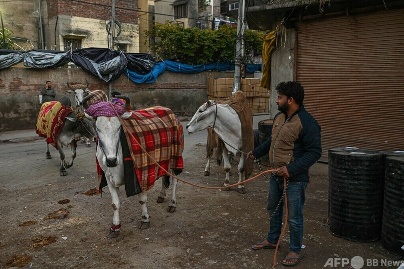 印ニューデリー、異例の寒さでホームレス170人超死亡